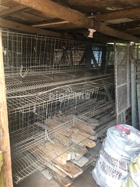 Used Chicken Battery Cages in Nairobi | PigiaMe