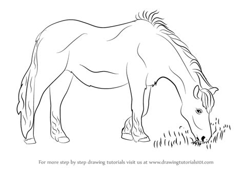 Learn How to Draw a Horse Eating Grass (Horses) Step by Step : Drawing Tutorials