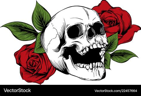 Skull with flowers with roses drawing by hand Vector Image