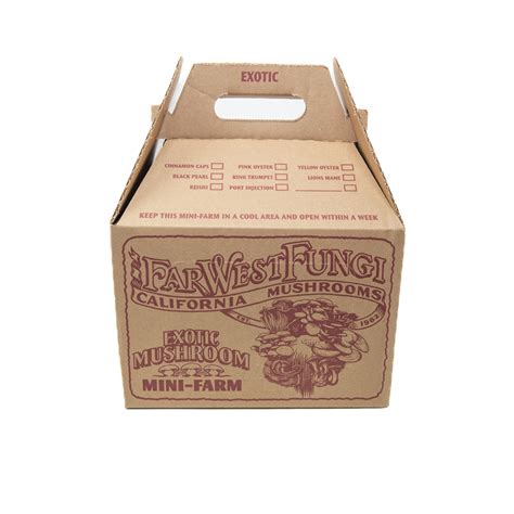 Lion's Mane Mushroom Mini-Farm Grow Kit – Far West Fungi