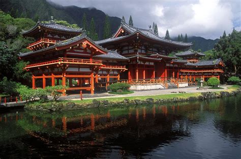 Oahu Valley of the Temple The birds will land in your palm here, literally eating out of your ...