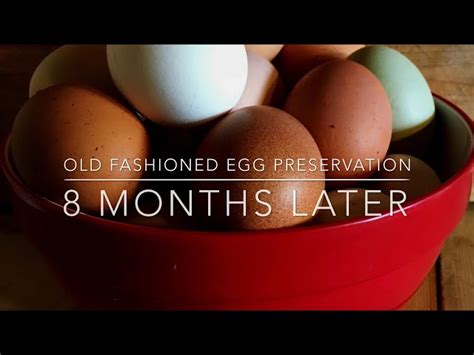 How to Preserve Eggs Without Refrigeration? - StuffSure