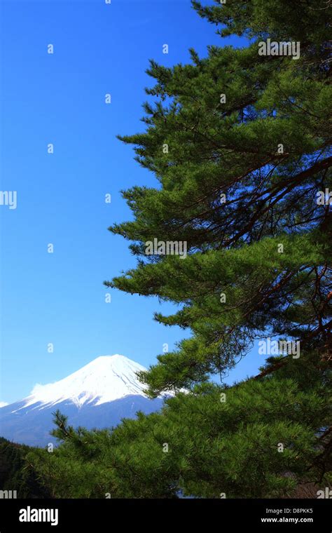 Mount Fuji, Yamanashi Prefecture Stock Photo - Alamy