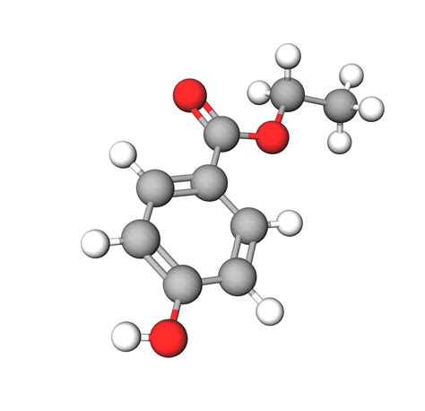 Ethylparaben | Ethyl 4-hydroxybenzoate | INCIGuide