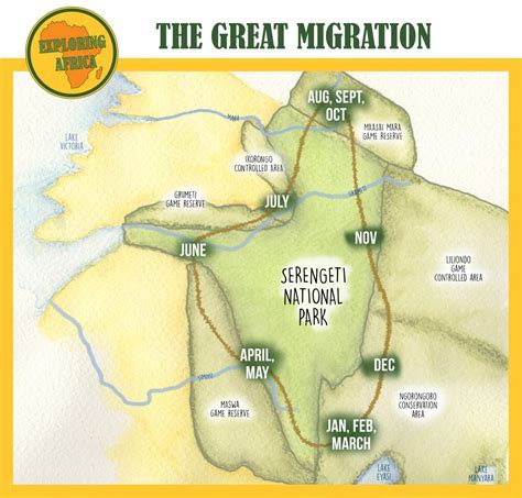 The stages of the Great Migration in Serengeti National Park ...