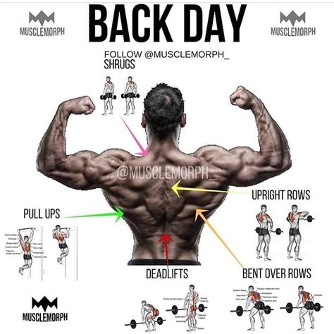 Back day workout – Artofit