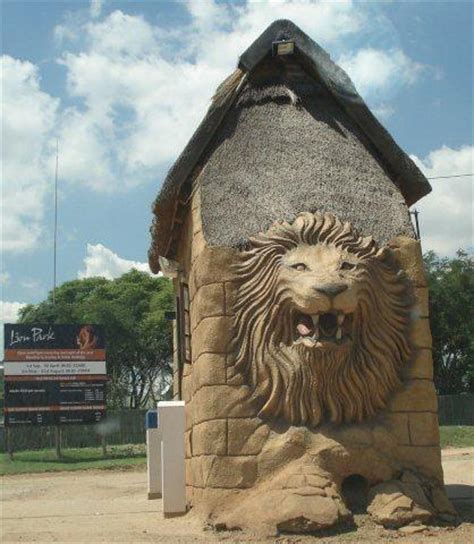 Lion Park - Johannesburg - Ghumakkar - Inspiring travel experiences.