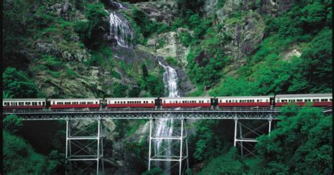 Kuranda Scenic Railway & Skyrail (Inc Cairns Transfer) | RTW Backpackers