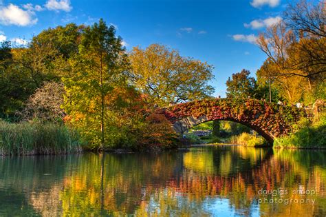 Douglas Shoop Photography: Fall in Central Park