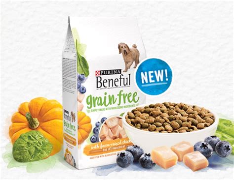 Free Beneful Grain Free Dog Food Sample