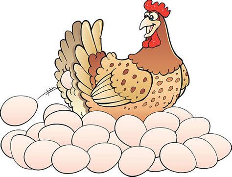 Chicken Laying Egg stock vectors - iStock