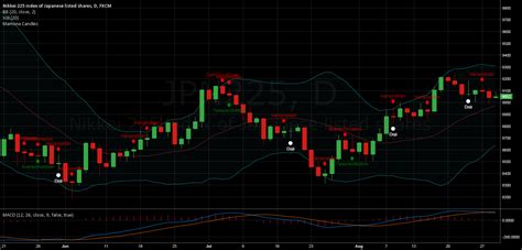 Bitcoin Candlestick Chart Tradingview - Btc 3d Chart Probability Of ...