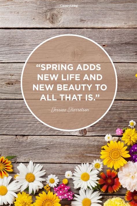 40 Best Happy Spring Quotes - Motivational Sayings About Spring