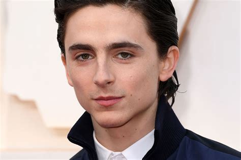 Timothée Chalamet’s Head-Turning Red Carpet Style Moments [PHOTOS] – Footwear News