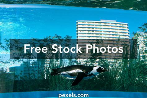 Sunshine Aquarium Photos, Download The BEST Free Sunshine Aquarium Stock Photos & HD Images