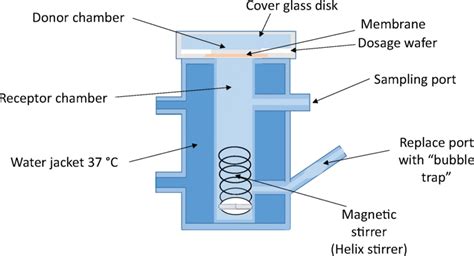 Schematic of a vertical Franz-type diffusion cell. | Download ...