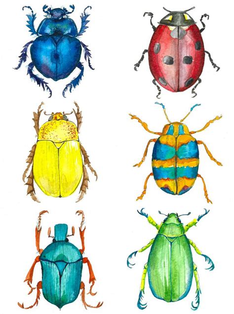 Watercolor Bugs Collection | Insect art projects, Insect art, Illustration art