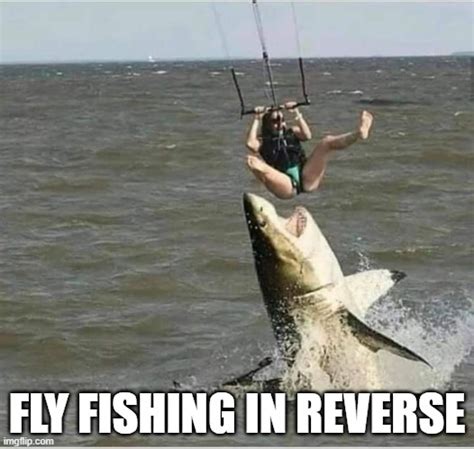 fly fishing - Imgflip