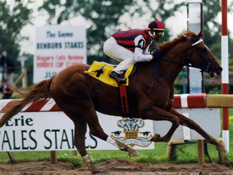 Aiken Thoroughbred Racing Hall of Fame & Museum - 2003 Aiken Trained ...