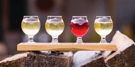 Cider vs Beer: Is Cider Healthier Than Beer?