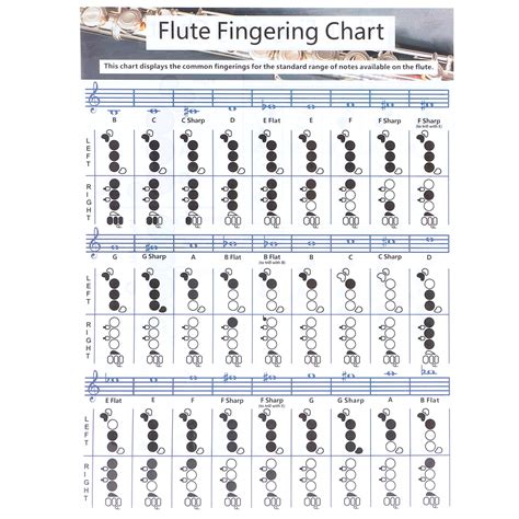 Octpeak Flute Fingering Chart,Flute Fingering Practice Chart,Flute Fingering Chord Chart ...