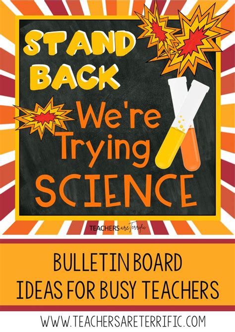 Unique Bulletin Board Designs You Need to Try Soon! - Teachers are Terrific