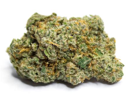 Gelato 33 Strain - Larry Bird Strain Info - Flavor Fix