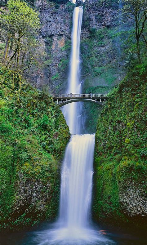 Oregon's beautiful Multnomah Falls, at 611 feet tall, it is one of the tallest waterfalls in ...