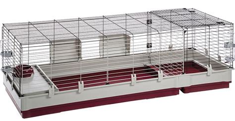 Best Indoor Guinea Pig Cages, Hutches, and Runs Reviewed