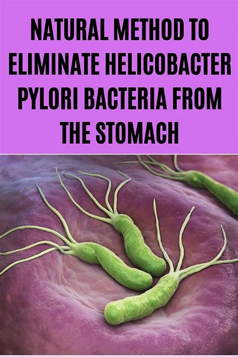 Antibiotics helicobacter pylori