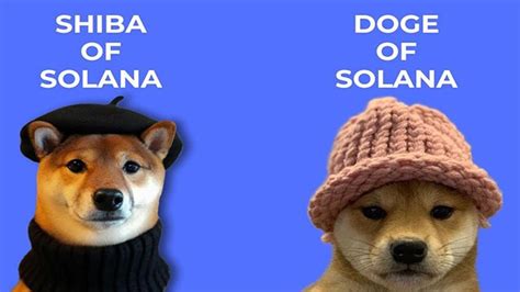 Doge and Shiba in Solana: Meet the New Meme Kings - Dog Wif Hat $WIF and Shiba Wif Hat $WIF ...