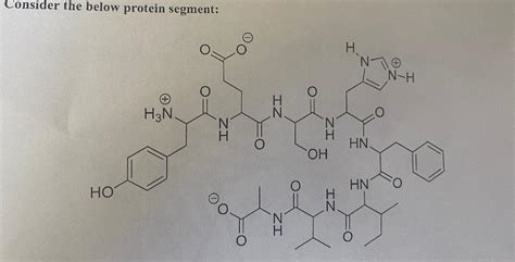 Solved a) Label the N-terminus and the C-terminus. b) How | Chegg.com