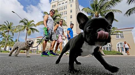 Miami weather forecast shows cool temperatures after record breaking heat | Miami Herald