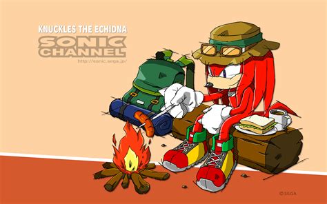 Knuckles The Echidna Wallpapers (59+ images)