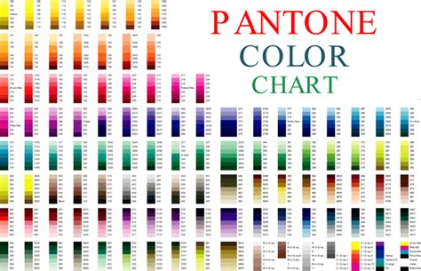 Image result for names of pantone colors | Pantone color chart, Pantone color, Pantone