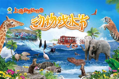 Shanghai Wild Animal Park Ticket - Klook Malaysia