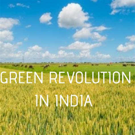 Green Revolution in India:-Some salient Features - MK