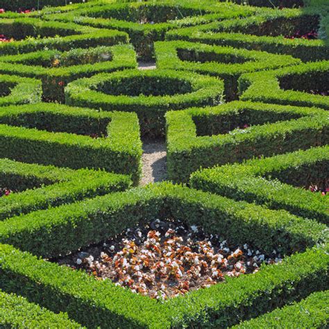 Garden Maze Design Wallpaper For Hall - Image to u