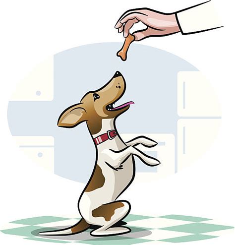 Dog Biscuit Clip Art, Vector Images & Illustrations - iStock