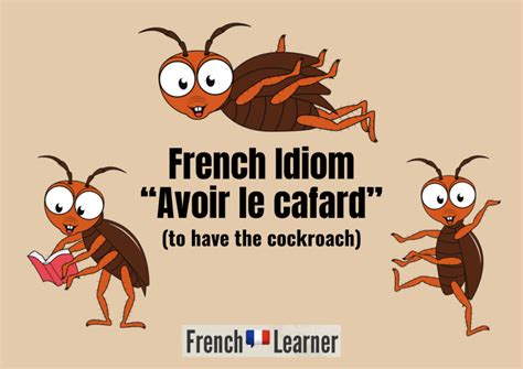 French Idiom: Avoir Le Cafard (To Be Down In The Dumps)