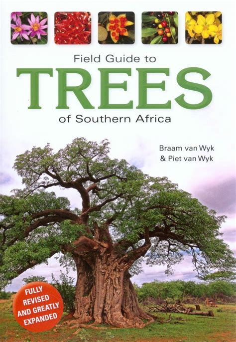 Field Guide to Trees of Southern Africa | NHBS Field Guides & Natural ...