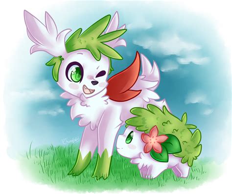 Pokemon_Shaymin by Chu-Chan564 on DeviantArt