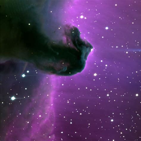 The Horsehead Nebula | The Horsehead Nebula is a dark nebula… | Flickr ...