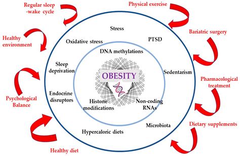 Exploring the Link Between Obesity and Urological Disorders: Prevention and Management Strategies