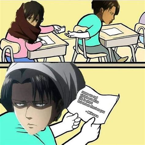 XD pobre de mi levi en 2020 | Image drôle manga, Blagues en images, Anime drôle