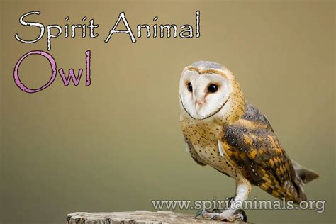 Owl - Spirit Animal Meaning and Interpretation - Spirit Animals