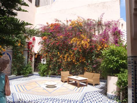 mixed bougainvillea on a stainless steel trellis system.... | Trellis system, Outdoor decor, Trellis