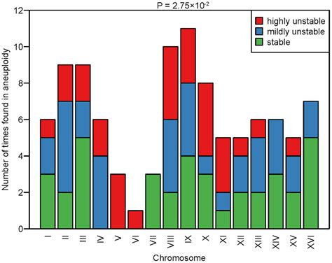 Frequency of aneuploid chromosomes in the different CIN classes. The... | Download Scientific ...