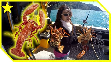 New Zealand Fishing - Crayfish (Kaikoura) - YouTube