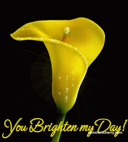 Mond You Brighten My Day GIF - Mond YouBrightenMyDay Flower - Discover & Share GIFs